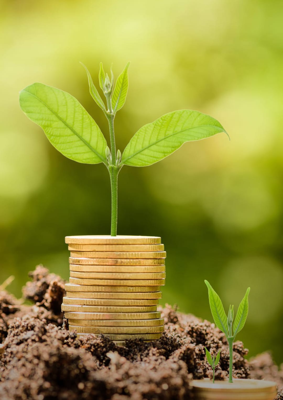 Irrigation project photo 9