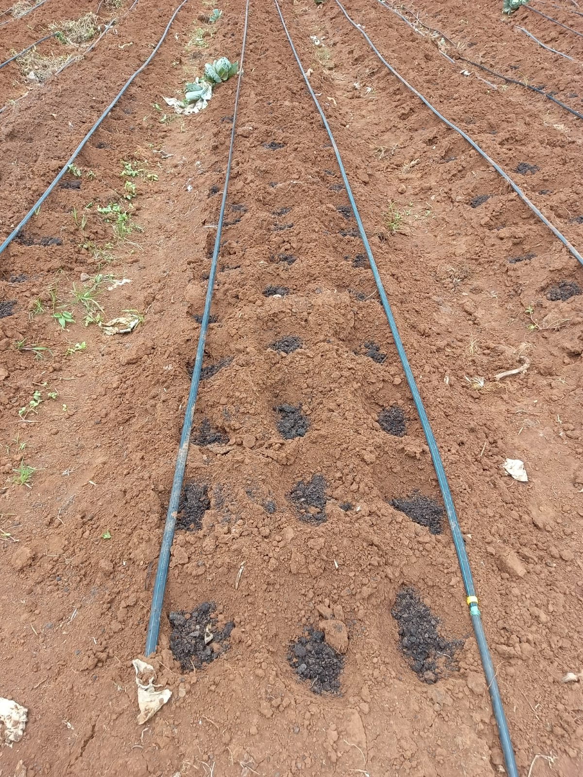 Irrigation project photo 7