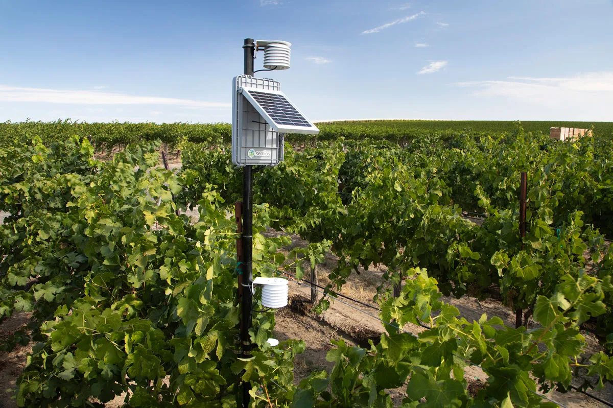 Weather station integration for irrigation scheduling